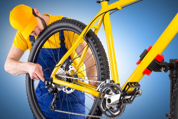 Bike Assembly in Crystal Lake