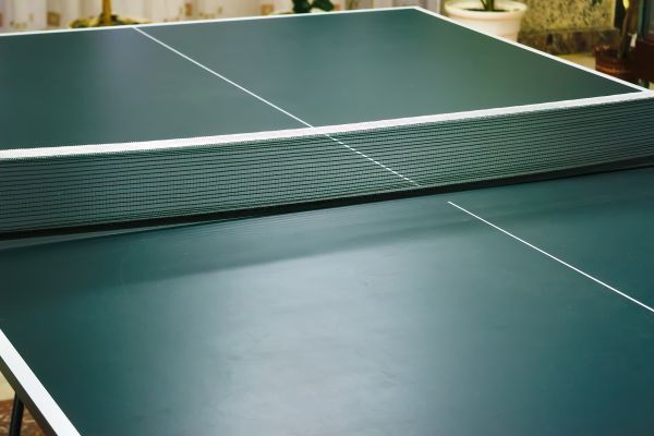 Ping Pong Table Assembly in Crystal Lake